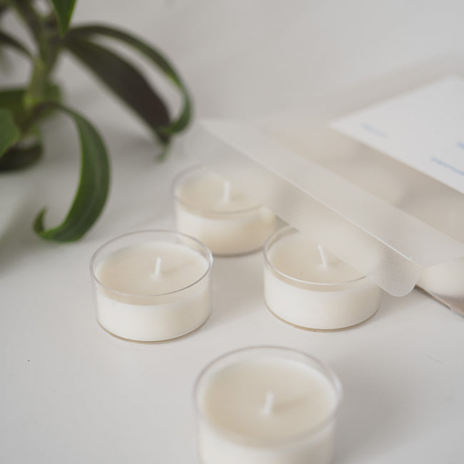Tea lights - Citrus + Sage