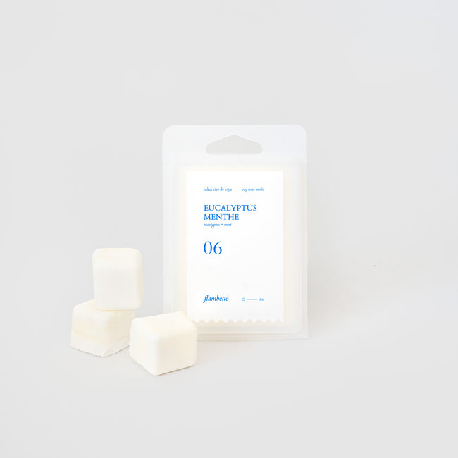 Wax melts - Eucalyptus + Mint 