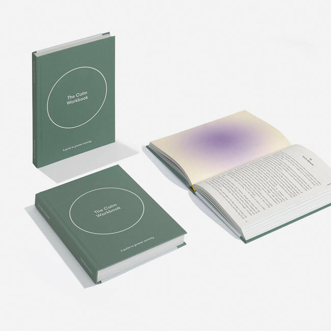 Livre - The Calm Workbook