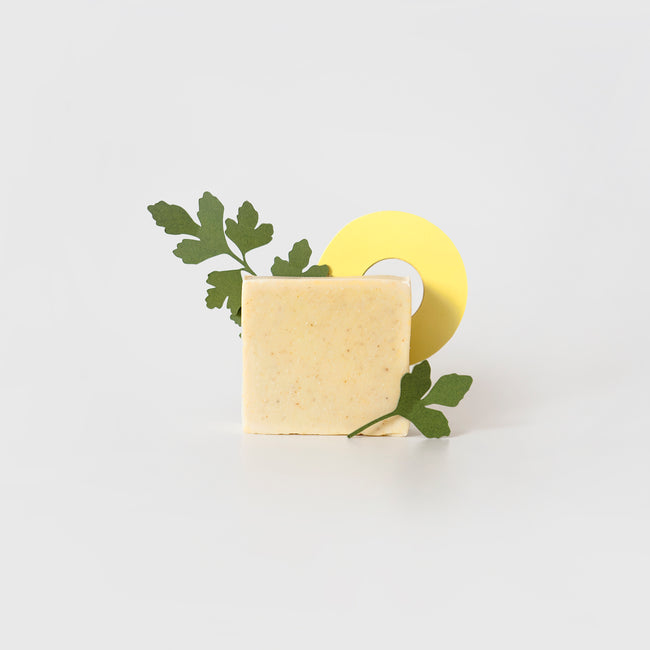 barre de savon parfumé pour le corps ananas coriandre