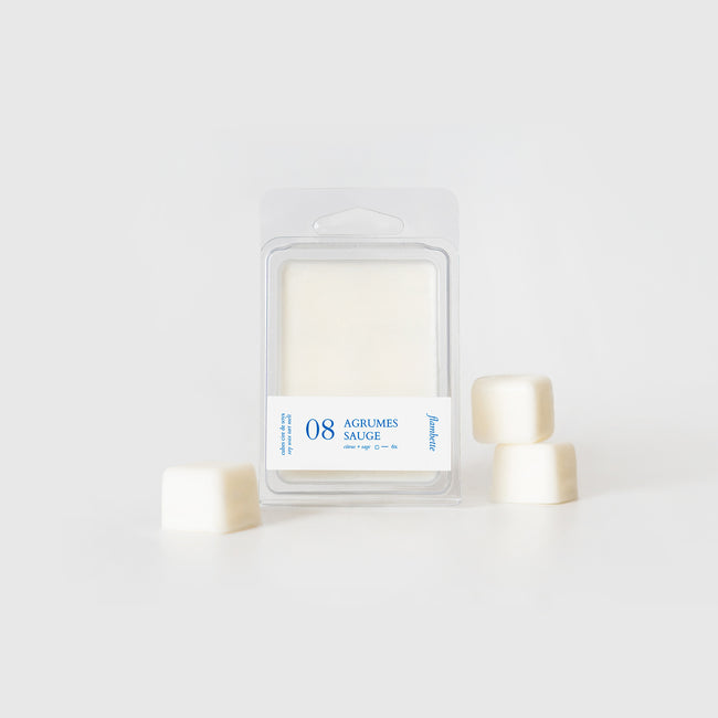 emballage cubes de cire de soya agrumes sauge